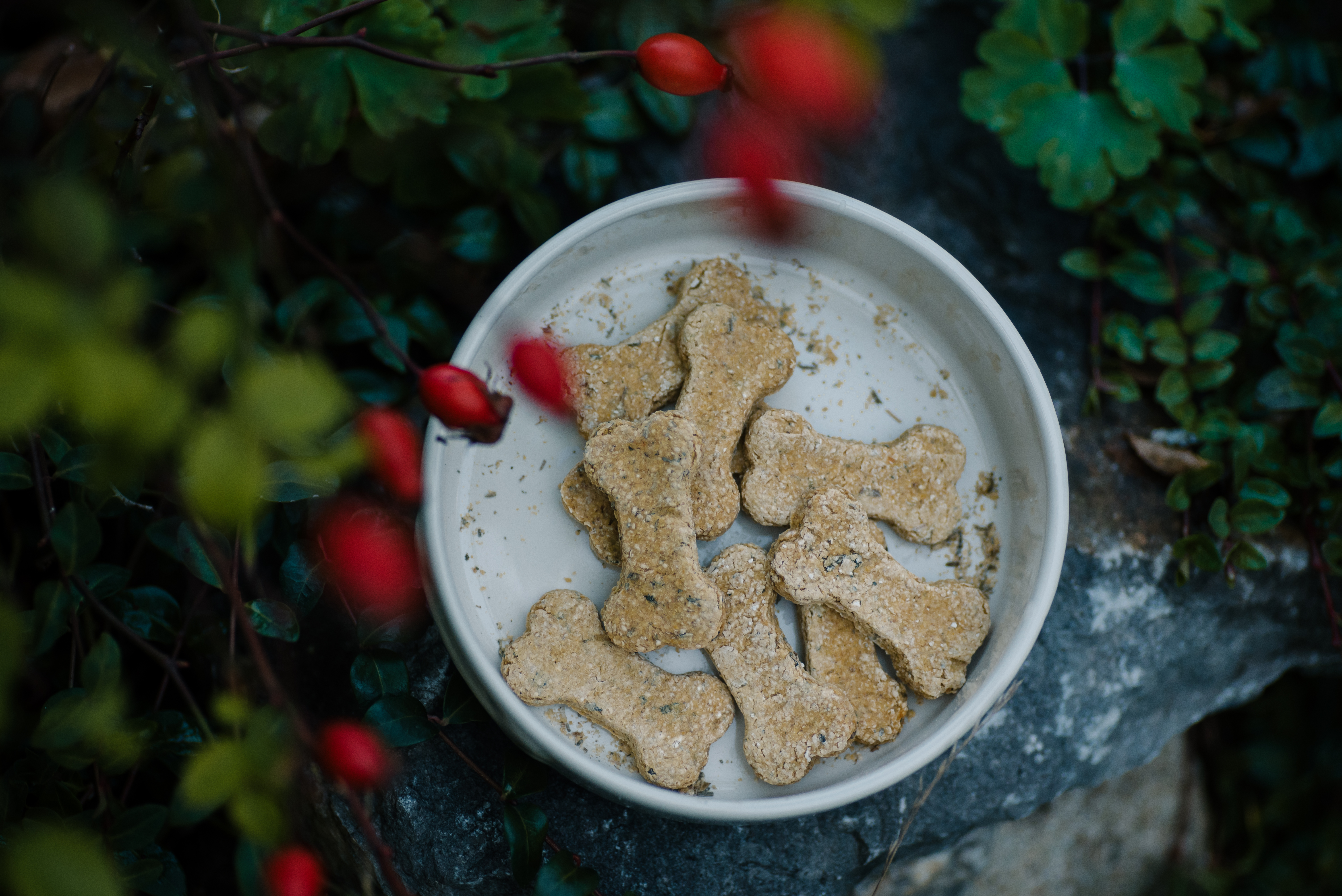 vonava kost-pamlsky-pro-psy-ledvinova-dieta-66